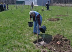 Actions “Clean Environment” and “Plant a Tree”